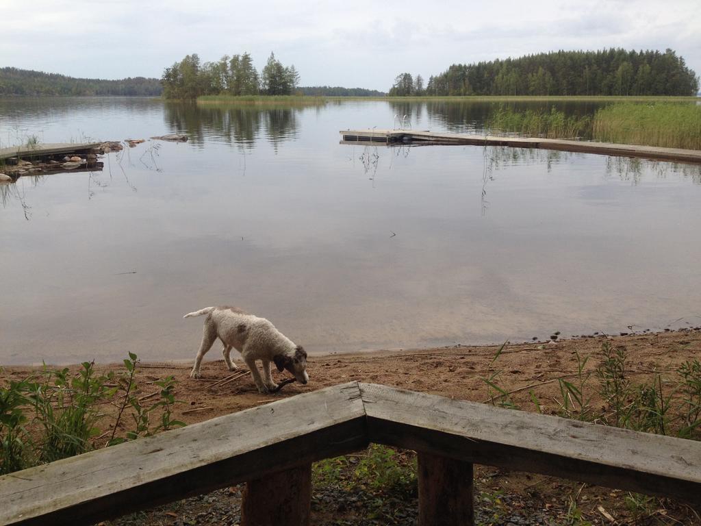 Nestorinranta Resort Lintusalo Luaran gambar